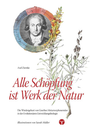 Axel Ziemke: Alle Schöpfung ist Werk der Natur - Info3 Verlag