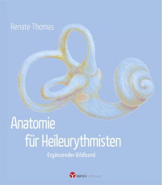 Renate Thomas: Anatomie für Heileurythmisten (Bildband) - Info3 Verlag