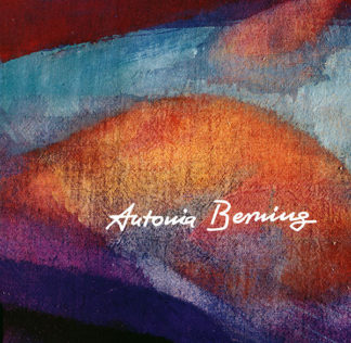 Yvonne Friedrichs (Hrsg.): Antonia Berning - Info3 Verlag