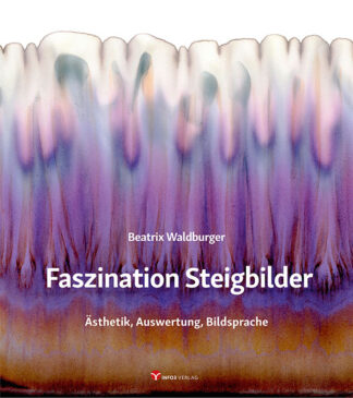 Beatrix Waldburger: Faszination Steigbilder - Info3 Verlag