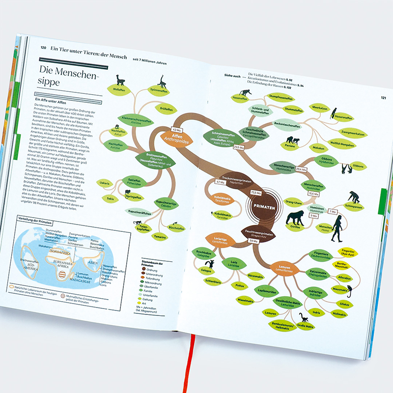 Die Geschichte der Erde - ein Atlas