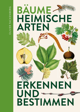 Bäume - Heimische Arten erkennen und bestimmen