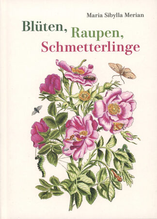 Blüten, Raupen, Schmetterlinge