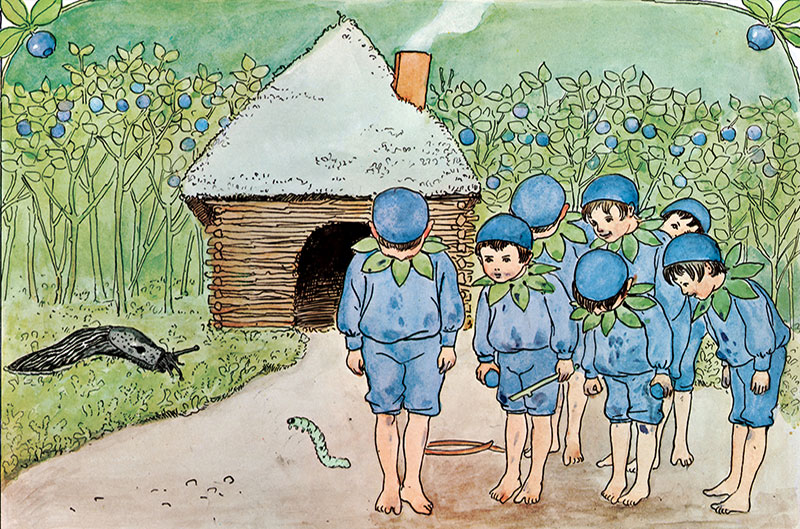 Lasse im Blaubeerland