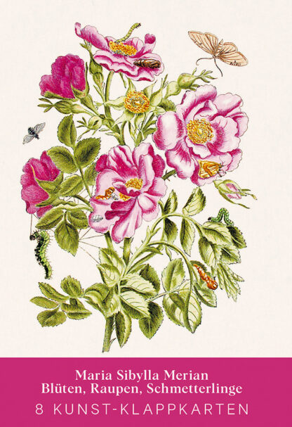 Merian Lettering Kartenset Merian | Info3 Verlag & Shop