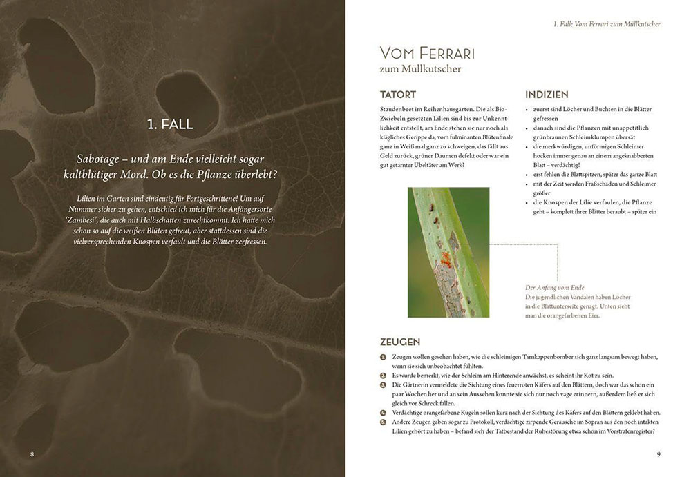 Elke Schwarzer. Mord im Nacktschneckenmilieu - Layout