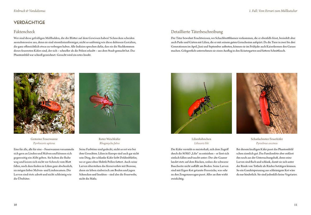 Elke Schwarzer. Mord im Nacktschneckenmilieu - Layout