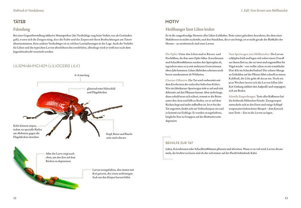 Elke Schwarzer. Mord im Nacktschneckenmilieu - Layout