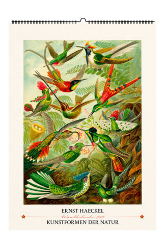Kalender 2027: Ernst Haeckel - Cover