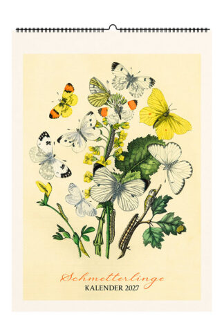 Kalender 2027: Schmetterlinge - Cover