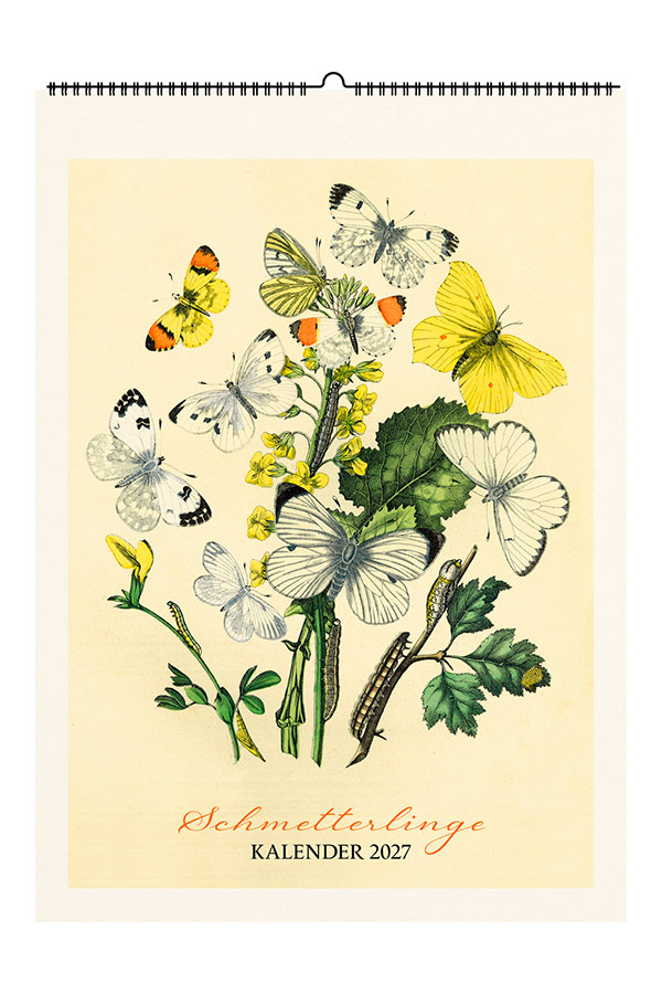 Kalender 2027: Schmetterlinge - Cover