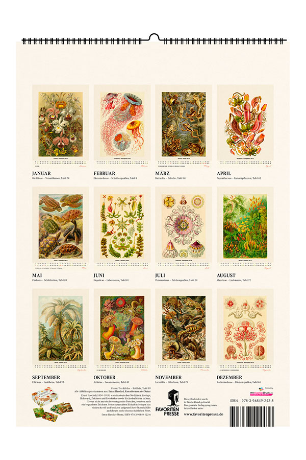 Kalender 2027: Ernst Haeckel - Layout