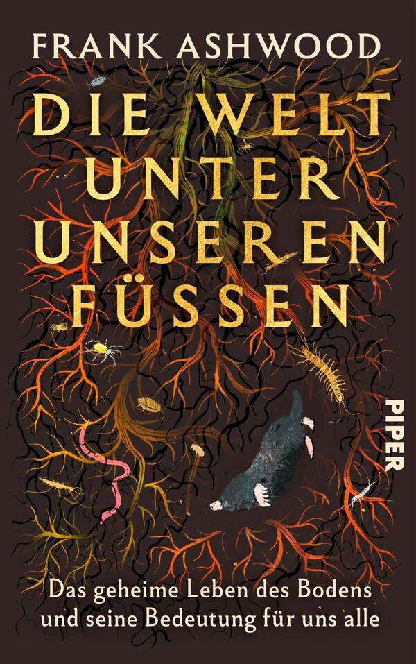 Frank Ashwood: Die Welt unter unseren Füßen - Cover