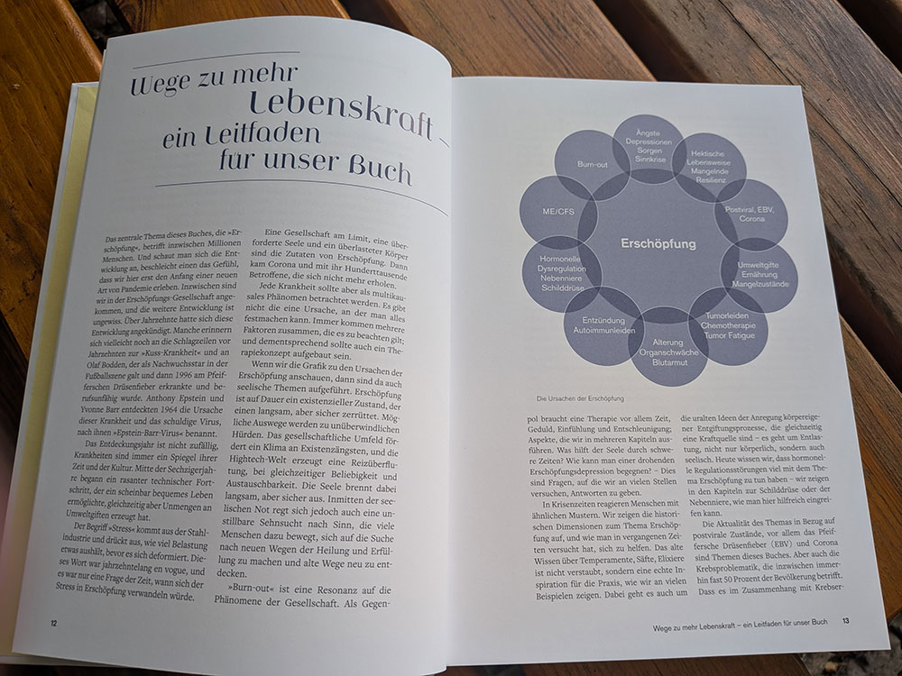 Meyer, Rippe, Wilkens: Quellen der Lebenskraft - Layout