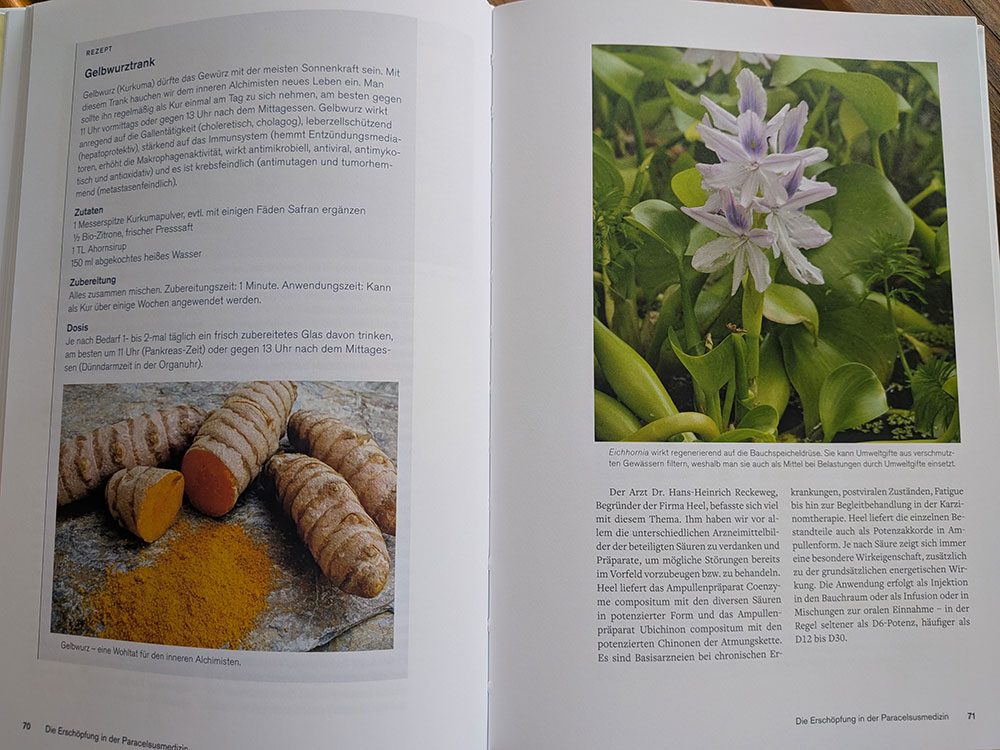 Meyer, Rippe, Wilkens: Quellen der Lebenskraft - Layout